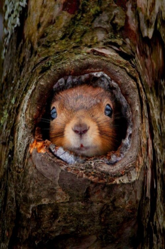 10:32:03 GMT-0400 (EDT)