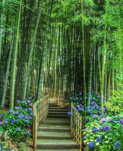 222431784_3002355550035660_3358770403138871001_n