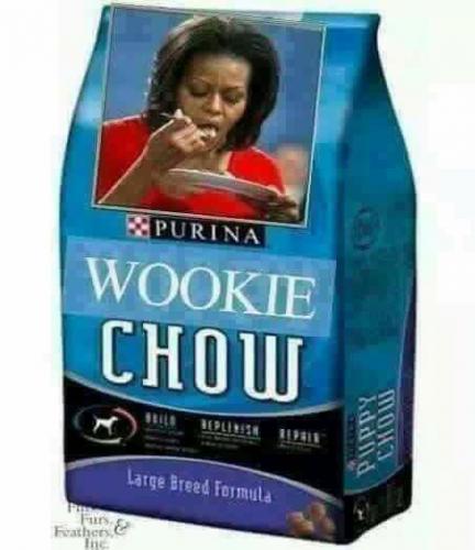 20106606_10203436845199850_4402185636162136479_n