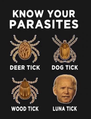 PARASITES