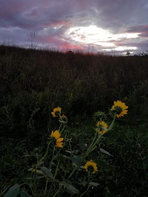 FB_IMG_1598578698176