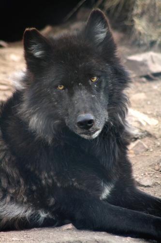 08:57:42 GMT-0500 (CDT)