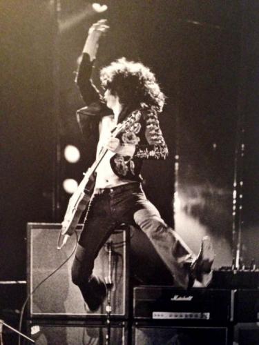 10686b7b3bd6276979947ab618424020