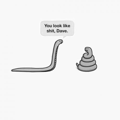 FB_IMG_1628212383534