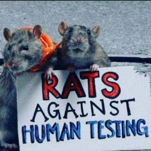 Screenshot_20210822-133426_Instagram