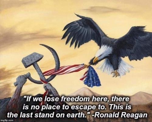 FB_IMG_1629291378825