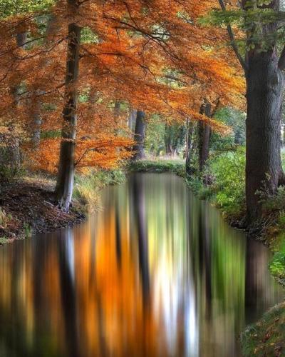 239976437_219464906855253_8671587087314480643_n