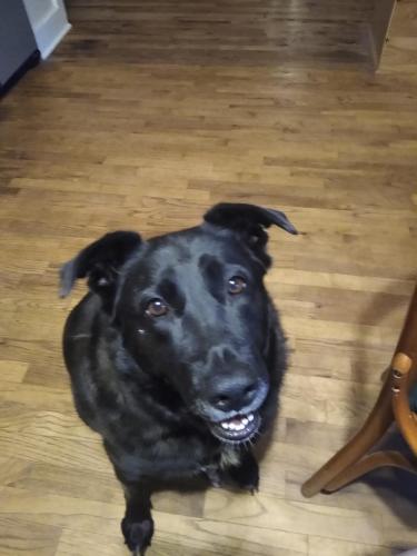 IMG_20210826_194021194_MP