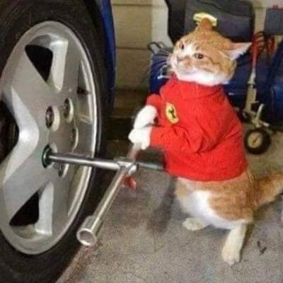 FB_IMG_1629322706559