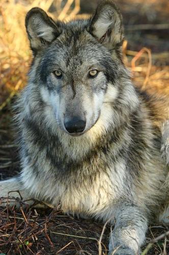 20:58:56 GMT-0500 (CDT)