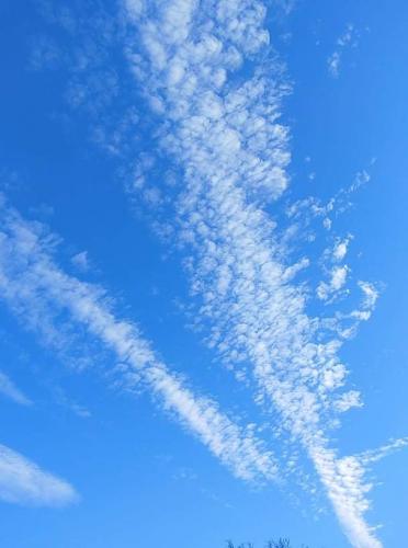 received_549086626127628