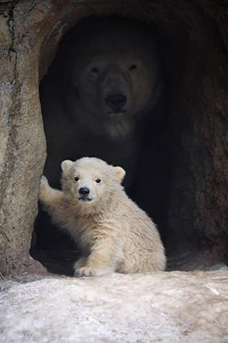 tumblr_9bb90c308181d3eb177b9e33b6954797_e3916005_500