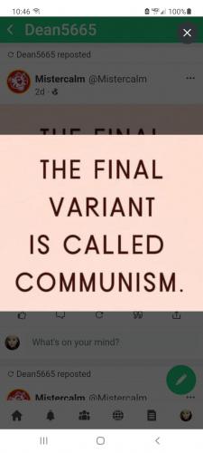 Screenshot_20210816-224606_DuckDuckGo