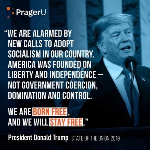 FB_IMG_1628392303560