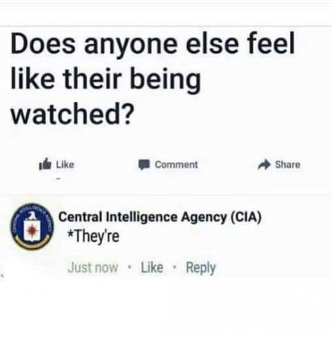 FB_IMG_1627958241921