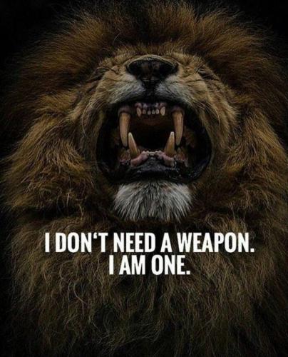 20:07:45 GMT-0500 (CDT)