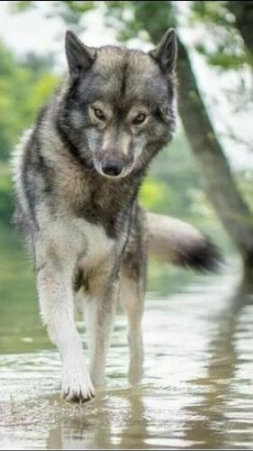 92ef997c5ffd925a4317e38dbbe6244c