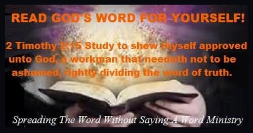 20882635_1504646256284167_7207962776898641448_n