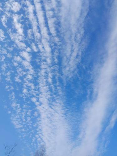 received_366026308344583