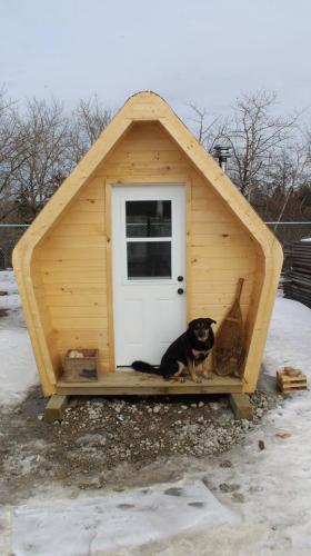 17308925_10155181923488593_6390617919773349203_n