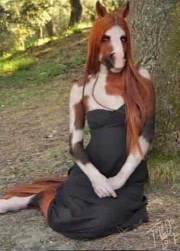 08:36:16 GMT-0400 (EDT)