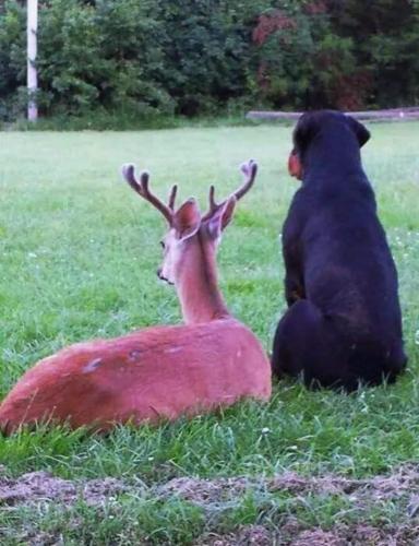 19:07:59 GMT-0700 (PDT)