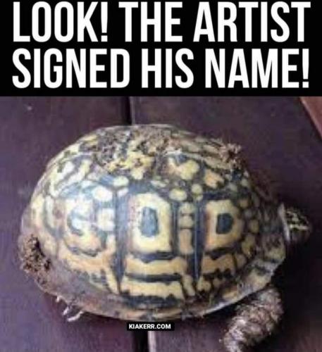 FB_IMG_1628203418973