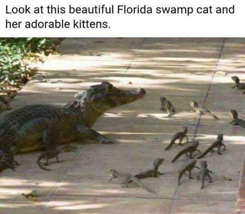 FB_IMG_1627900164393