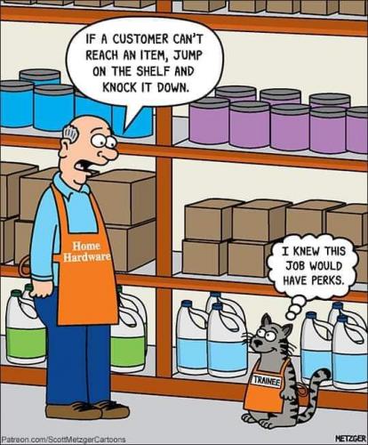 04:54:32 GMT-0500 (CDT)