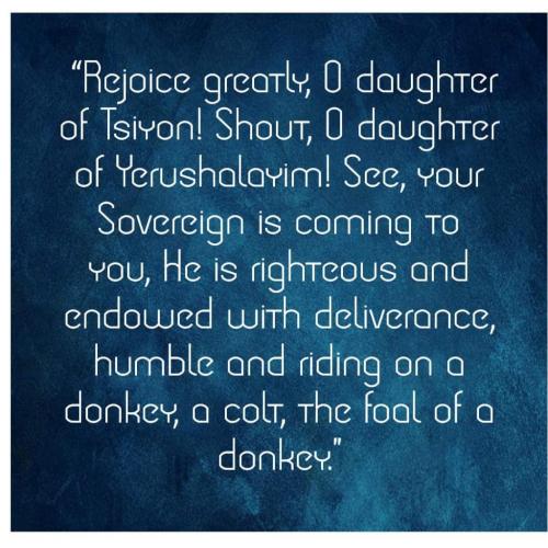 Simchat! Bat T'sion!!!