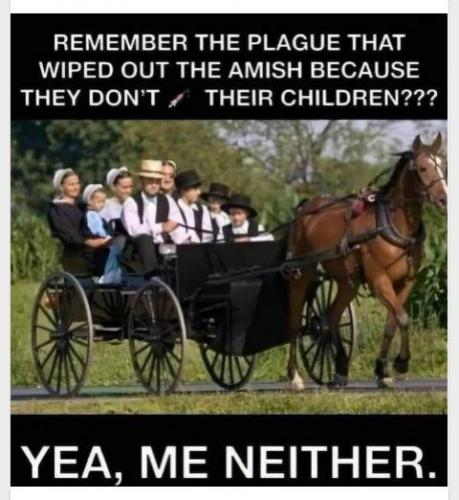 Unvaxxed Amish