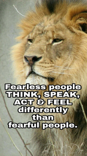 Fearless