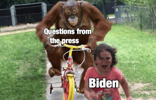 Building Back Better 🤭