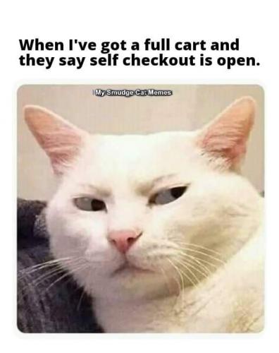 FB_IMG_1630166106673