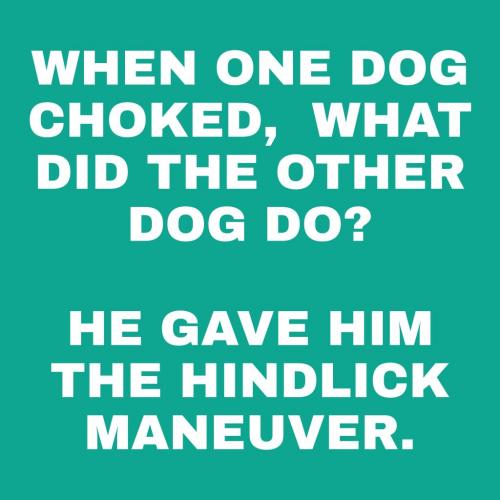 PicsArt_08-15-10.33.48