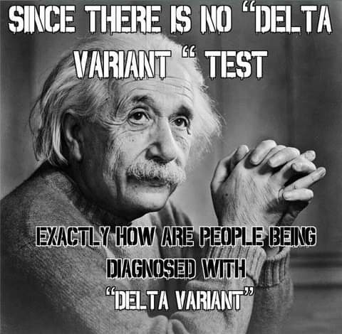 FB_IMG_1628538683928