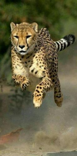 231281136_201442981950612_1002992282619937977_n