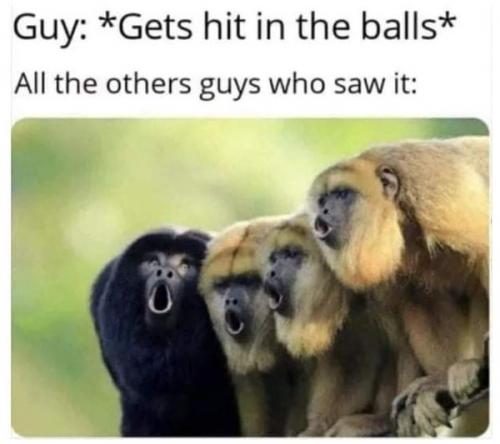 232543567_4588064161226345_2541016200904384353_n