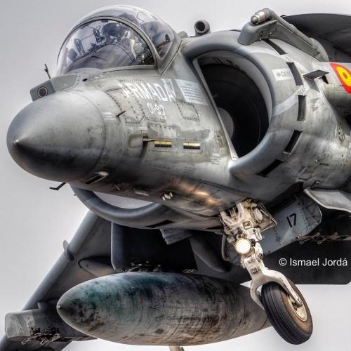 234735714_207884171351723_2459915710195525345_n