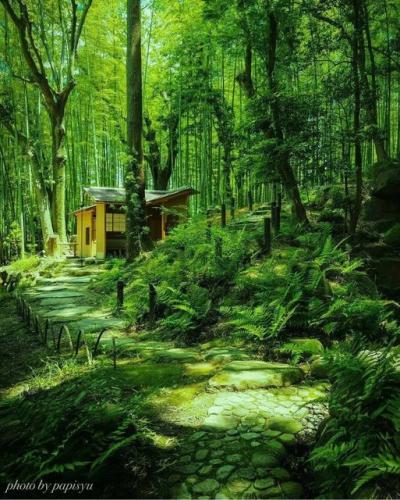 223140614_378514993644509_1008051536864721572_n