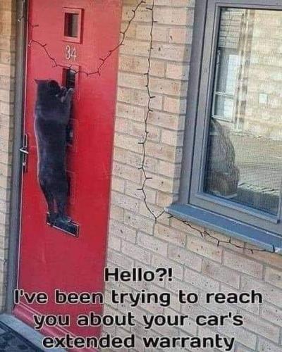 FB_IMG_1629225857916