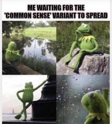 18:46:33 GMT-0500 (CDT).image