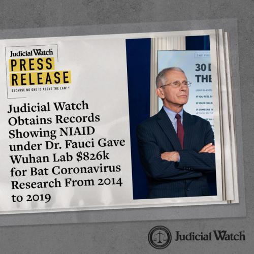Fauci_Gave_Wuhan_$826k