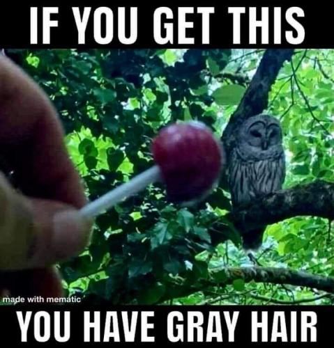 FB_IMG_1630198494525