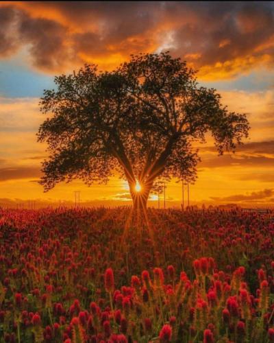 236059756_388109176026095_5049930552324911257_n