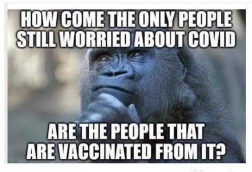 F22A9056-216A-47A6-ABAC-75513B162960-18940-000015BD5265B0DA