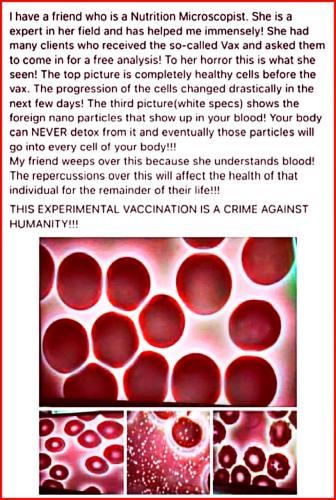 12:01:28 GMT-1000 (HST)