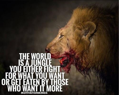 21:21:56 GMT-0500 (CDT)