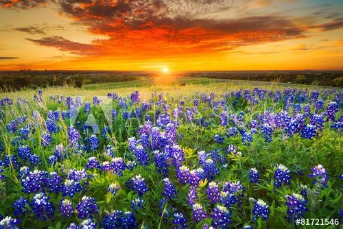 08:47:20 GMT-0500 (CDT)