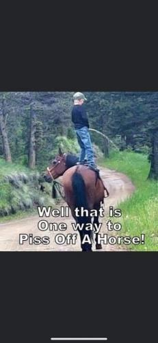 FB_IMG_1627902042007